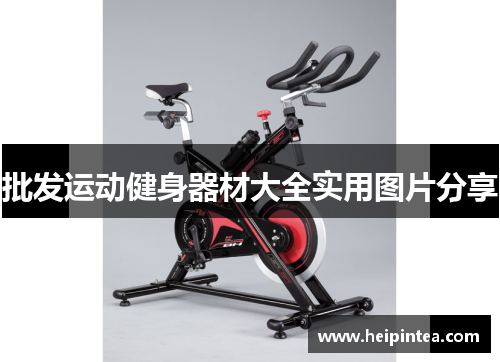 批发运动健身器材大全实用图片分享