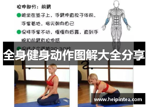 全身健身动作图解大全分享
