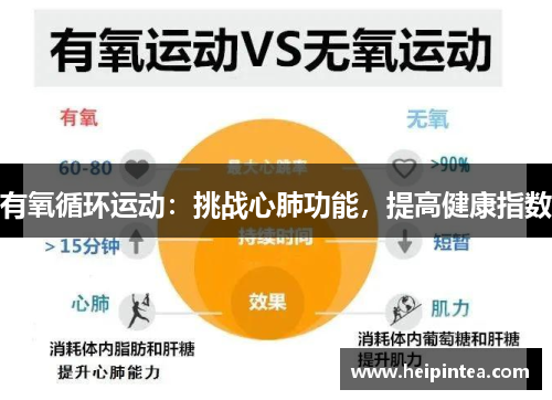 有氧循环运动：挑战心肺功能，提高健康指数