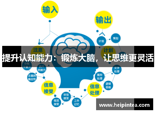 提升认知能力：锻炼大脑，让思维更灵活