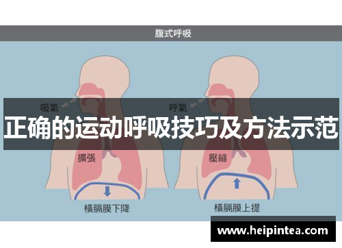 正确的运动呼吸技巧及方法示范
