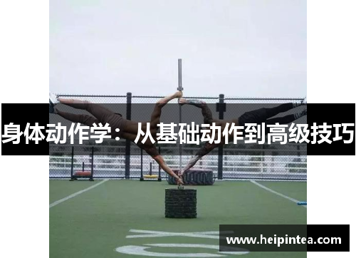 身体动作学：从基础动作到高级技巧