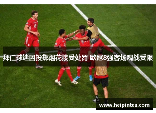 拜仁球迷因投掷烟花接受处罚 欧冠8强客场观战受限